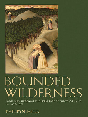 cover image of Bounded Wilderness